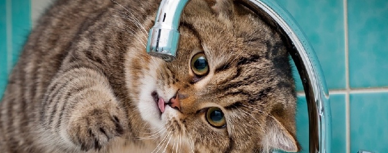 Ð ÐµÐ·ÑÐ»ÑÑÐ°Ñ Ð¿Ð¾ÑÑÐºÑ Ð·Ð¾Ð±ÑÐ°Ð¶ÐµÐ½Ñ Ð·Ð° Ð·Ð°Ð¿Ð¸ÑÐ¾Ð¼ "Ð²ÑÐ´ÐºÐ»ÑÑÐµÐ½Ð½Ñ Ð²Ð¾Ð´Ð¸"