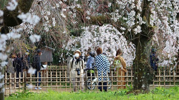 Як Японія, навіть під час пандемії, просуває внутрішній туризм