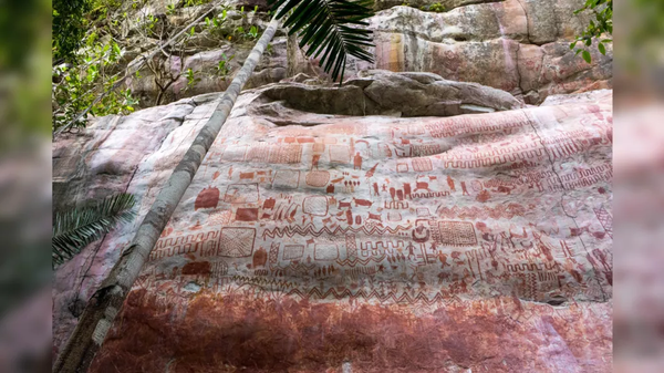 В Амазонії відкрили «галерею» скельних малюнків завдовжки 13 км (ФОТО)