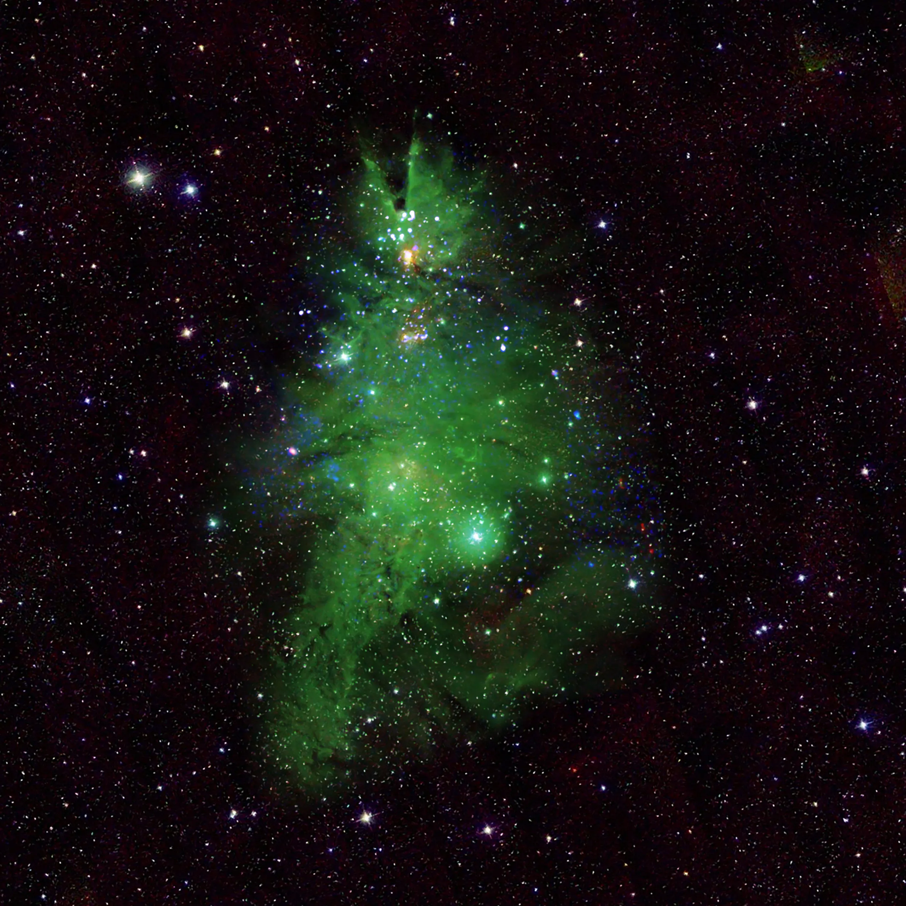 Сині та білі вогні – це молоді зірки. "Хвоя" — це газ туманності, підсвічений зеленим світлом.Фото: НАСА