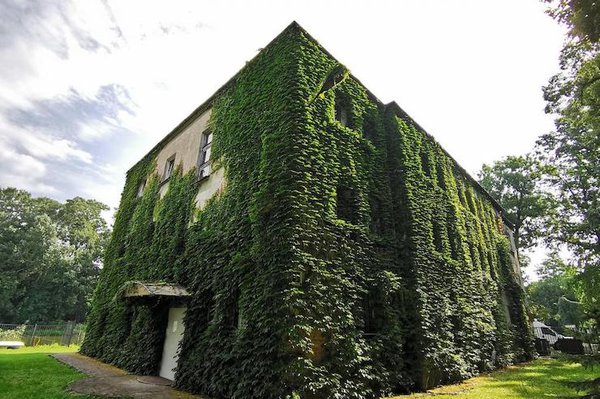 Польське місто звільнить мешканців озеленених будинків від податку