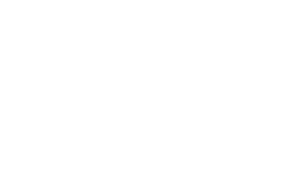 fort gun