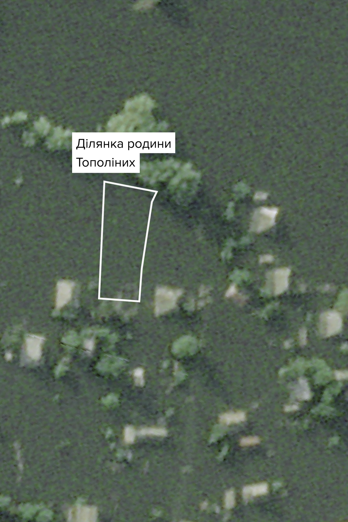 Супутниковий знімок Олешок, червень 2023 року, невдовзі після знищення Каховської дамби. Джерело: Planet Labs