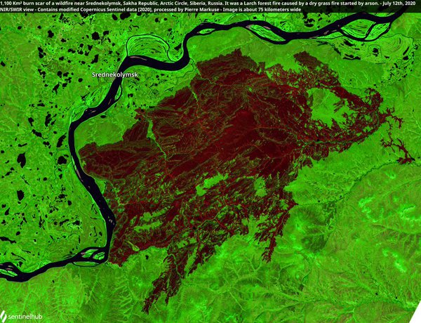 Супутникове фото дня: на Колимі вигоріло 1100 кв. км лісу