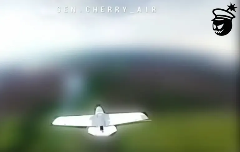 сокол