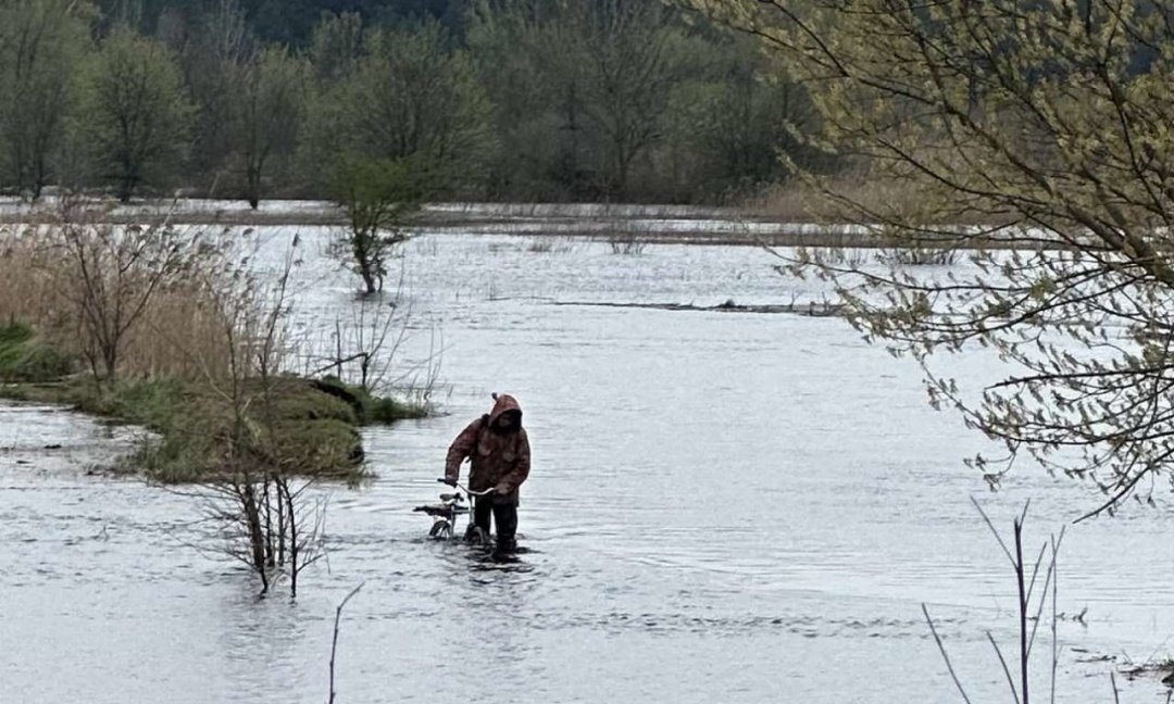 Фото: Укрінформ