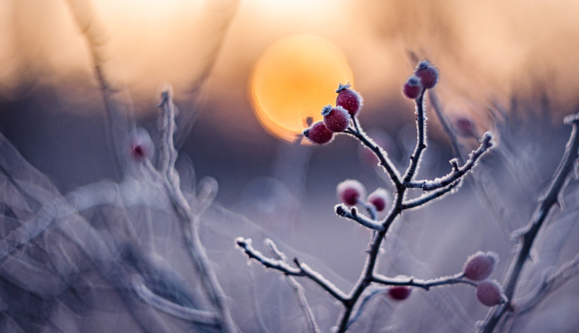 Фото: Синоптик