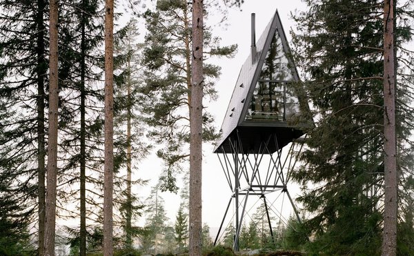 Гарний смак і соціальна дистанція: хатинки в норвезьких лісах на висоті дерев (ФОТО)