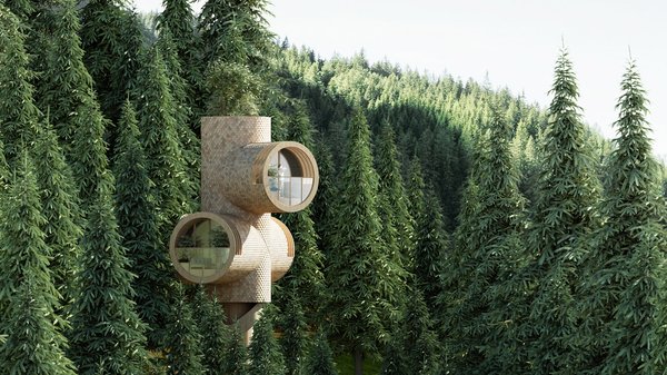 На часі: архітектори пропонують модульний будинок для самоізоляції в лісах (ФОТО)
