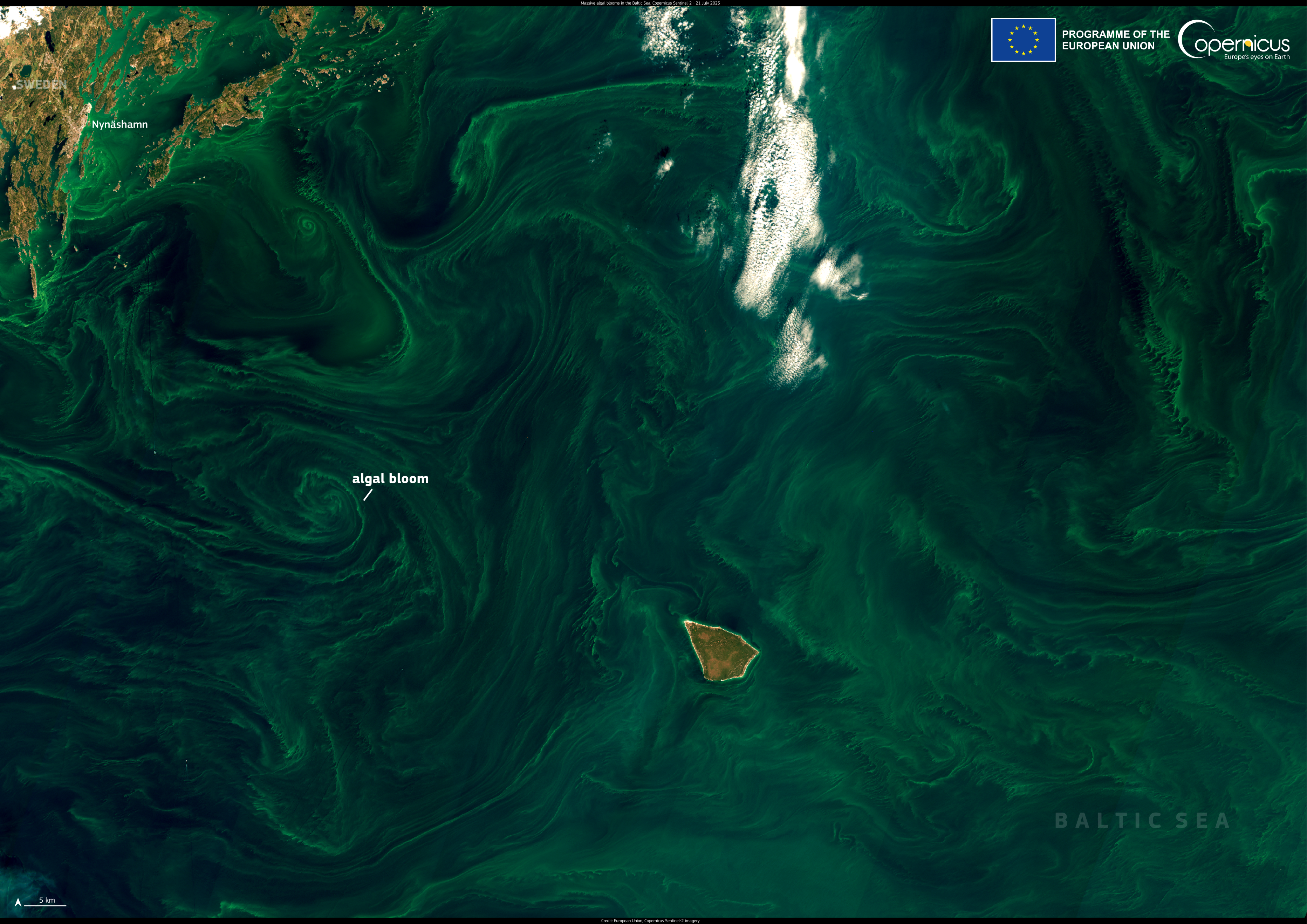 Фото: Європейський Союз, зображення Copernicus Sentinel-2