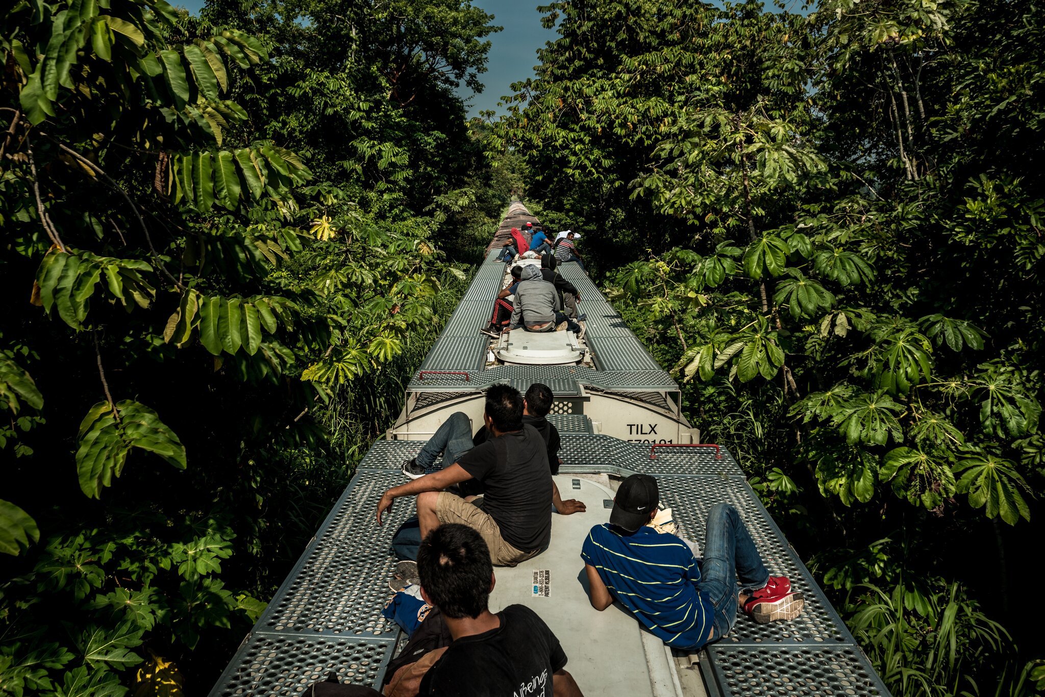 Штат Табаско, Мексика: мігранти з Центральної Америки нелегально їдуть у бік США на даху вантажного поїзда