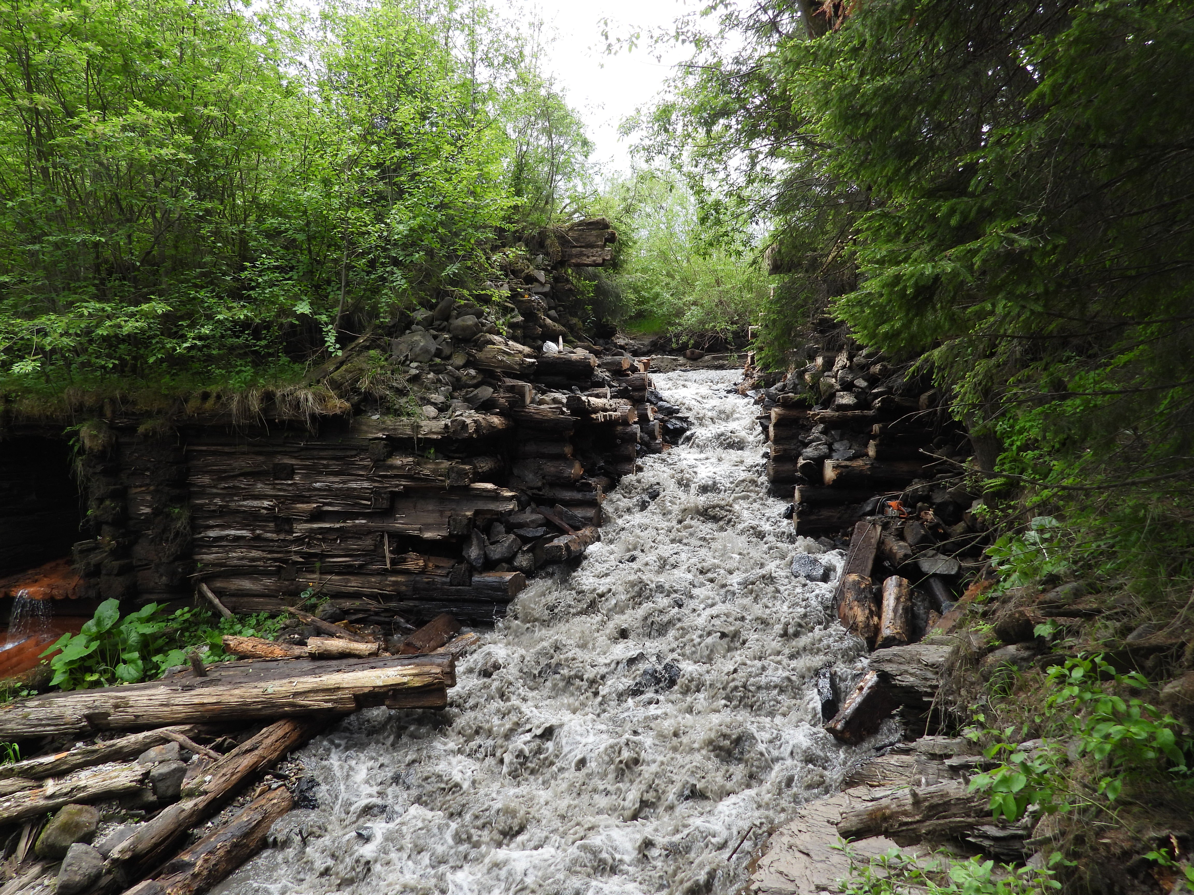 @ Ярослав Зеленчук _ WWF-Україна