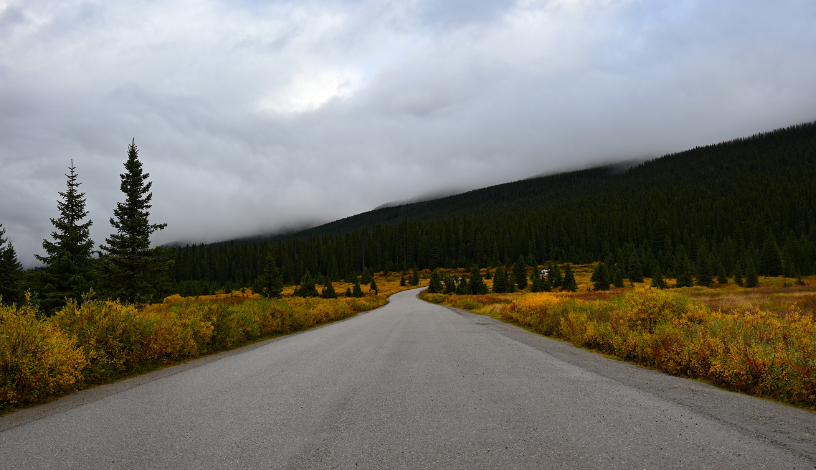 Фото: Синоптик