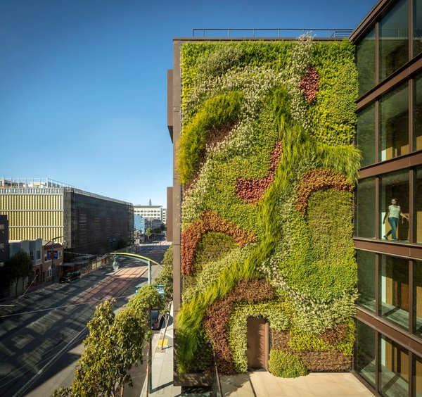 Замість мозаїк і панно: у Сан-Франциско п'ять поверхів стіни займає зелень