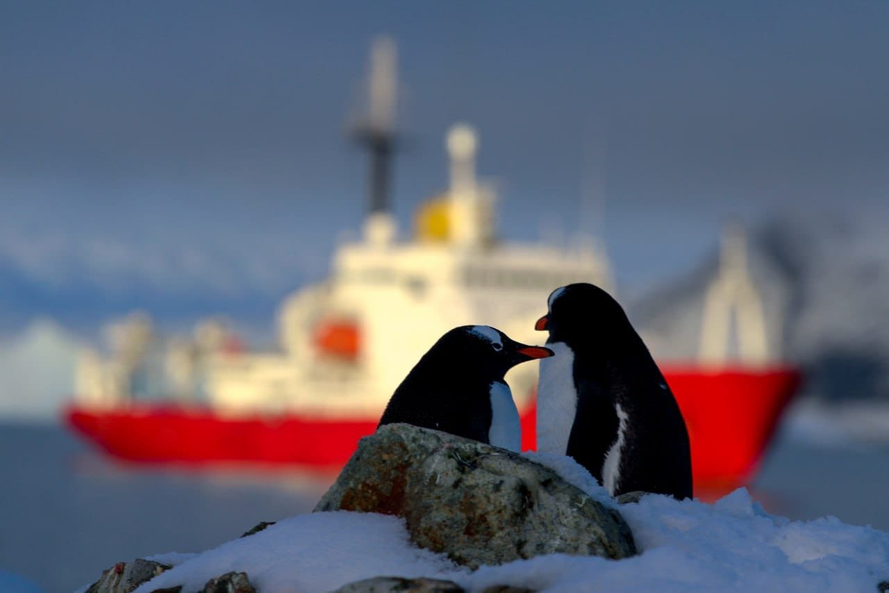 Фото: Національний антарктичний науковий центр