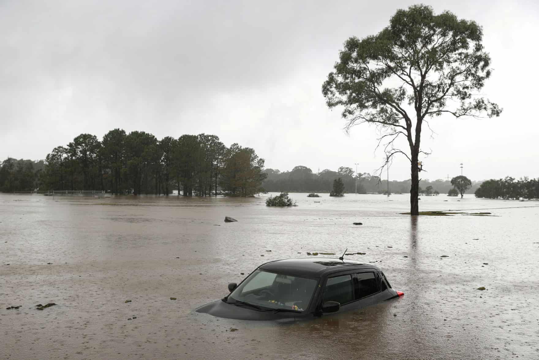 Потоп в Австралії. Loren Elliott/Reuters