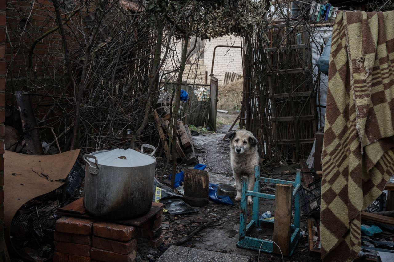 Пес у дворі свого зруйнованого дому в Богородичному, Донецька обл. Фото Gaelle Girbes