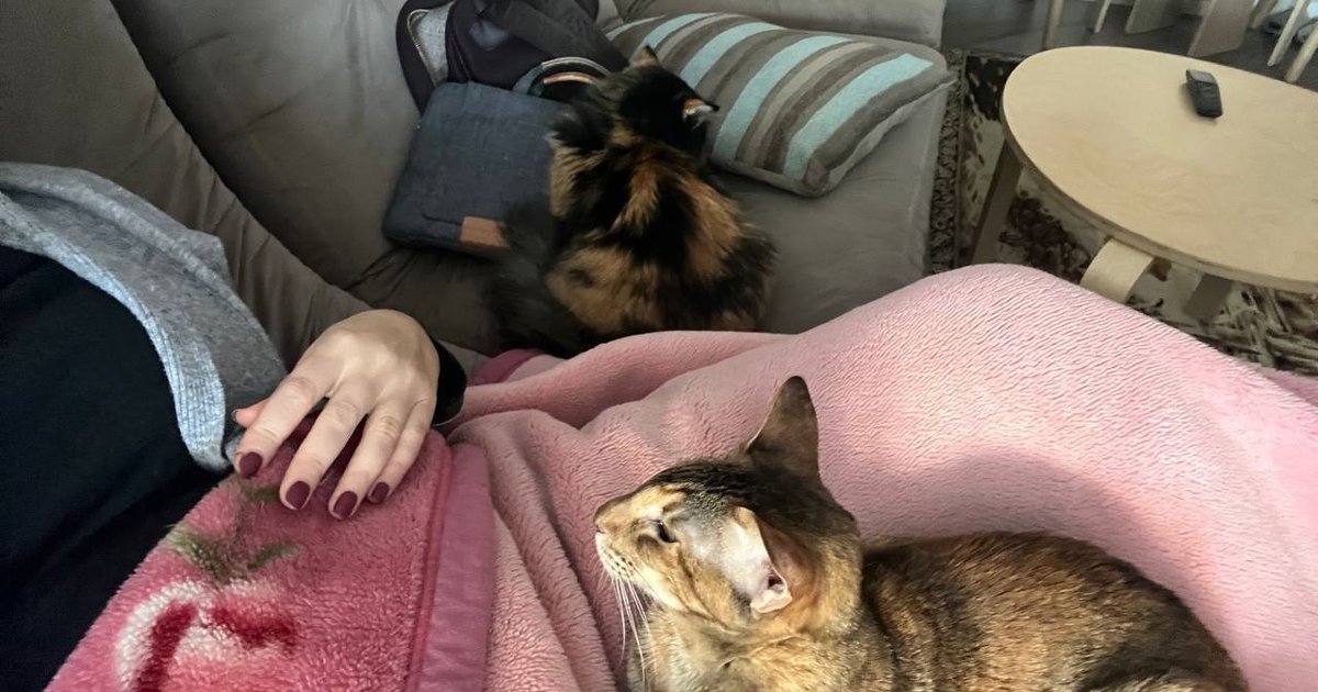 How Kyiv residents adapt to life without electricity, heat, and water