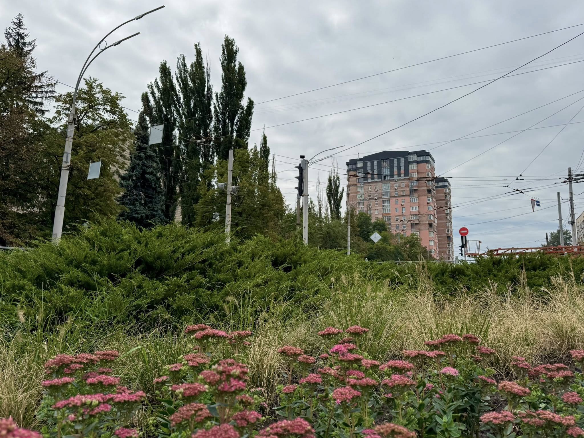 Нова хвиля