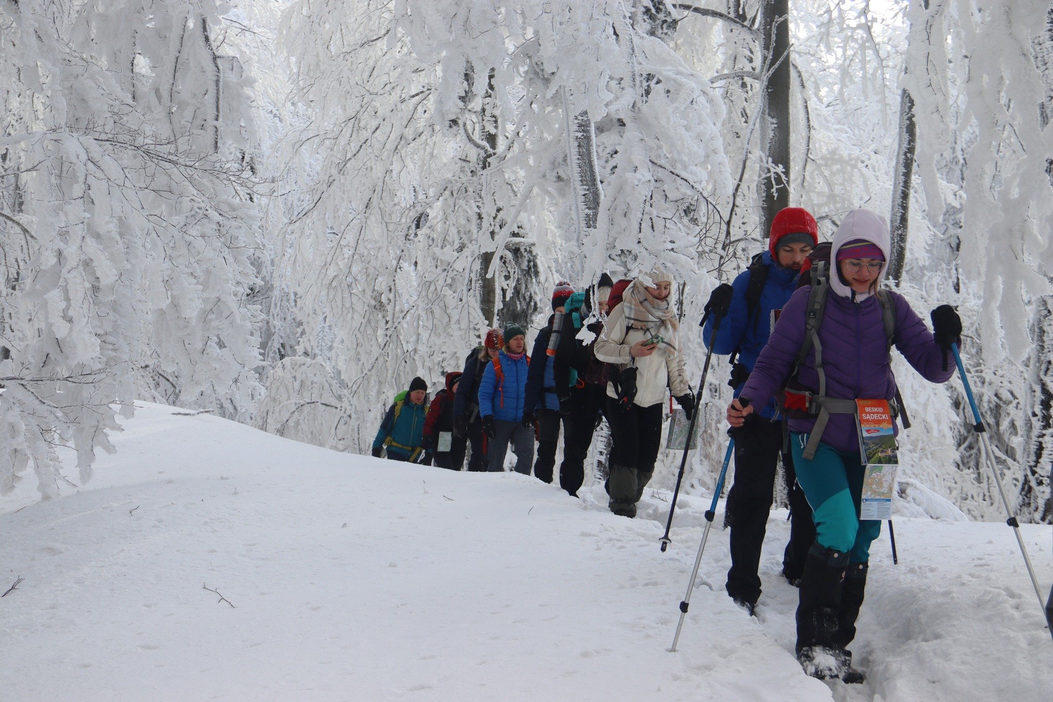 Походи — обов’язкова складова навчання гідів у Польщі. Фото: SKPG Kraków
