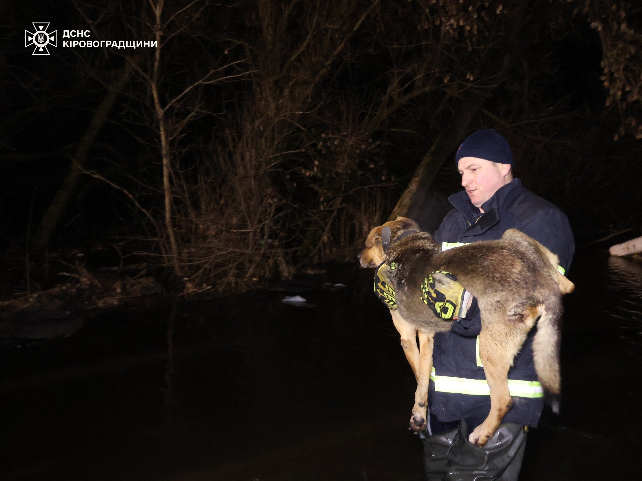 тварини евакуація