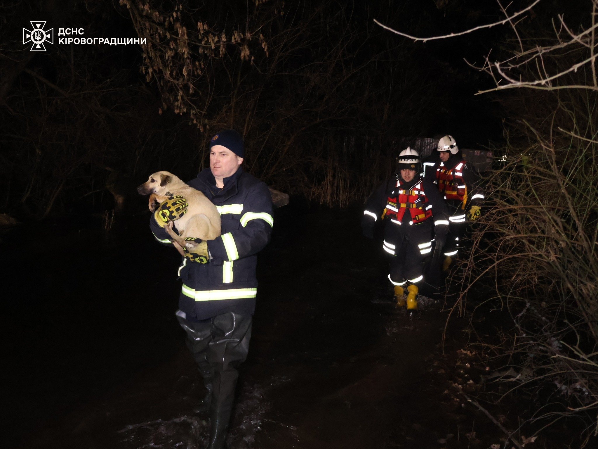 тварини евакуація