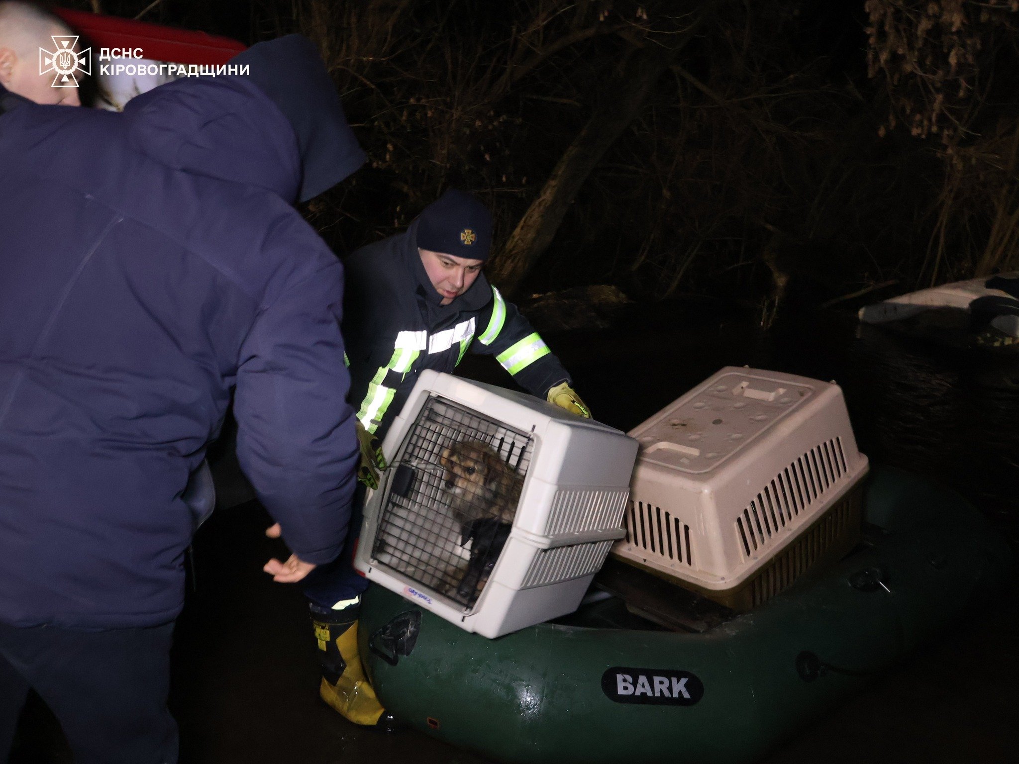 тварини евакуація