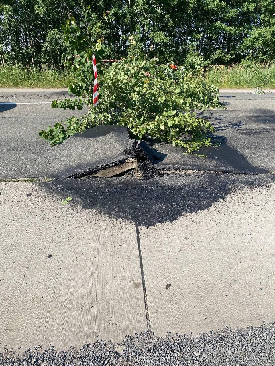 спека дороги