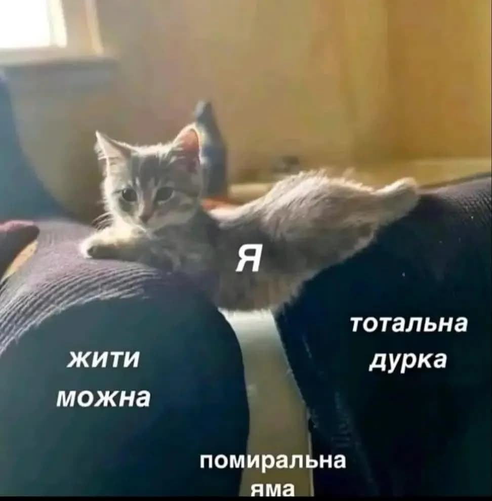меми