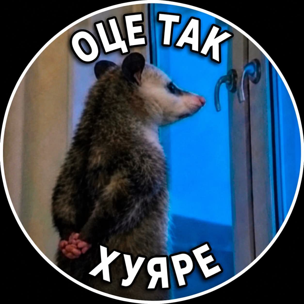 меми