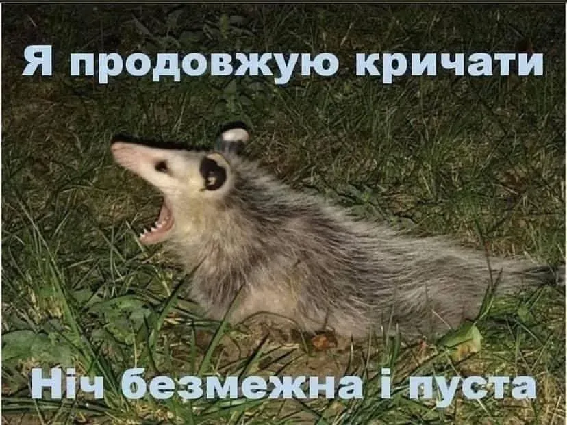 меми