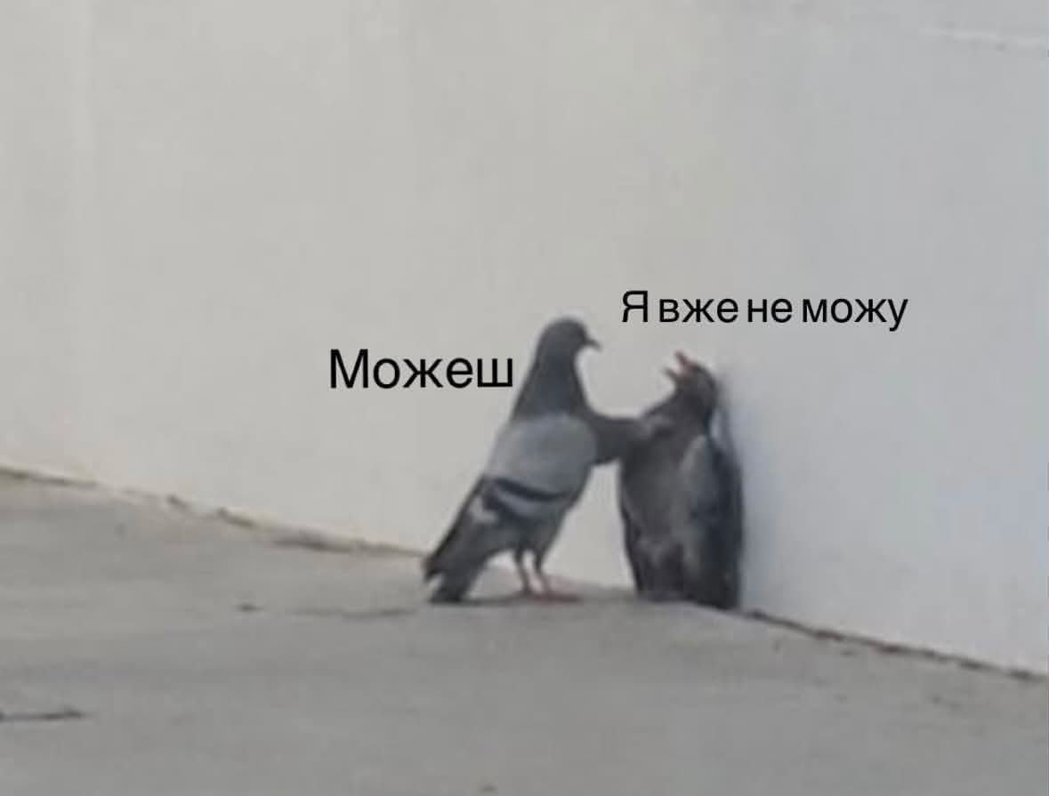 меми