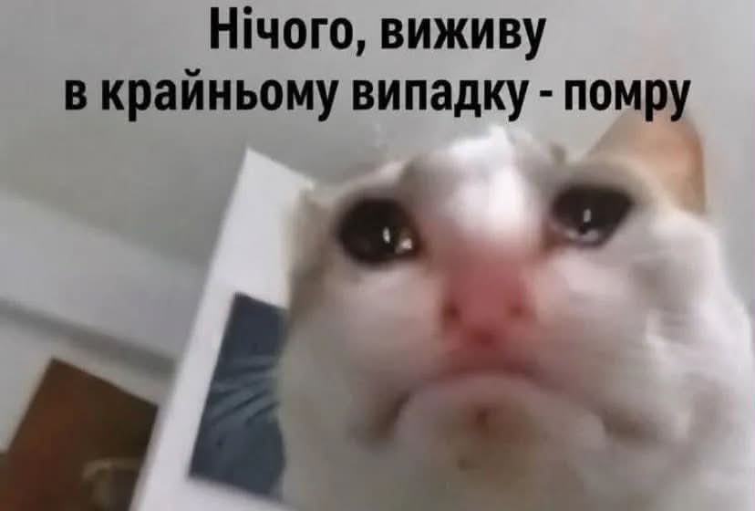 меми
