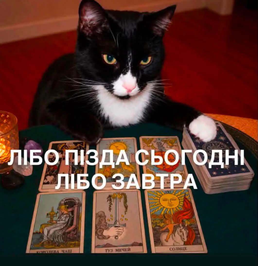 меми