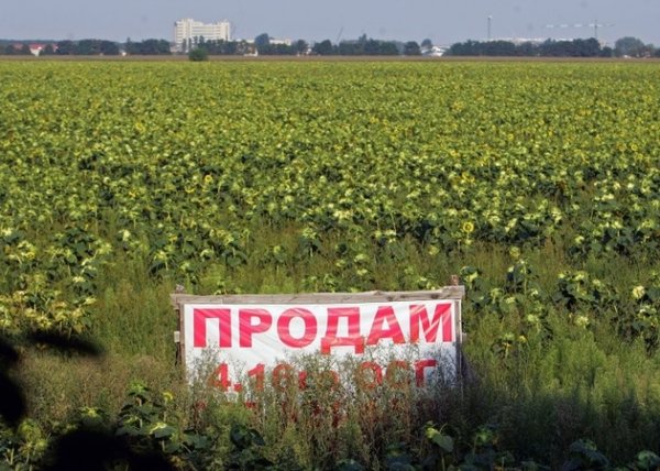В Україні офіційно стартував продаж сільськогосподарської землі