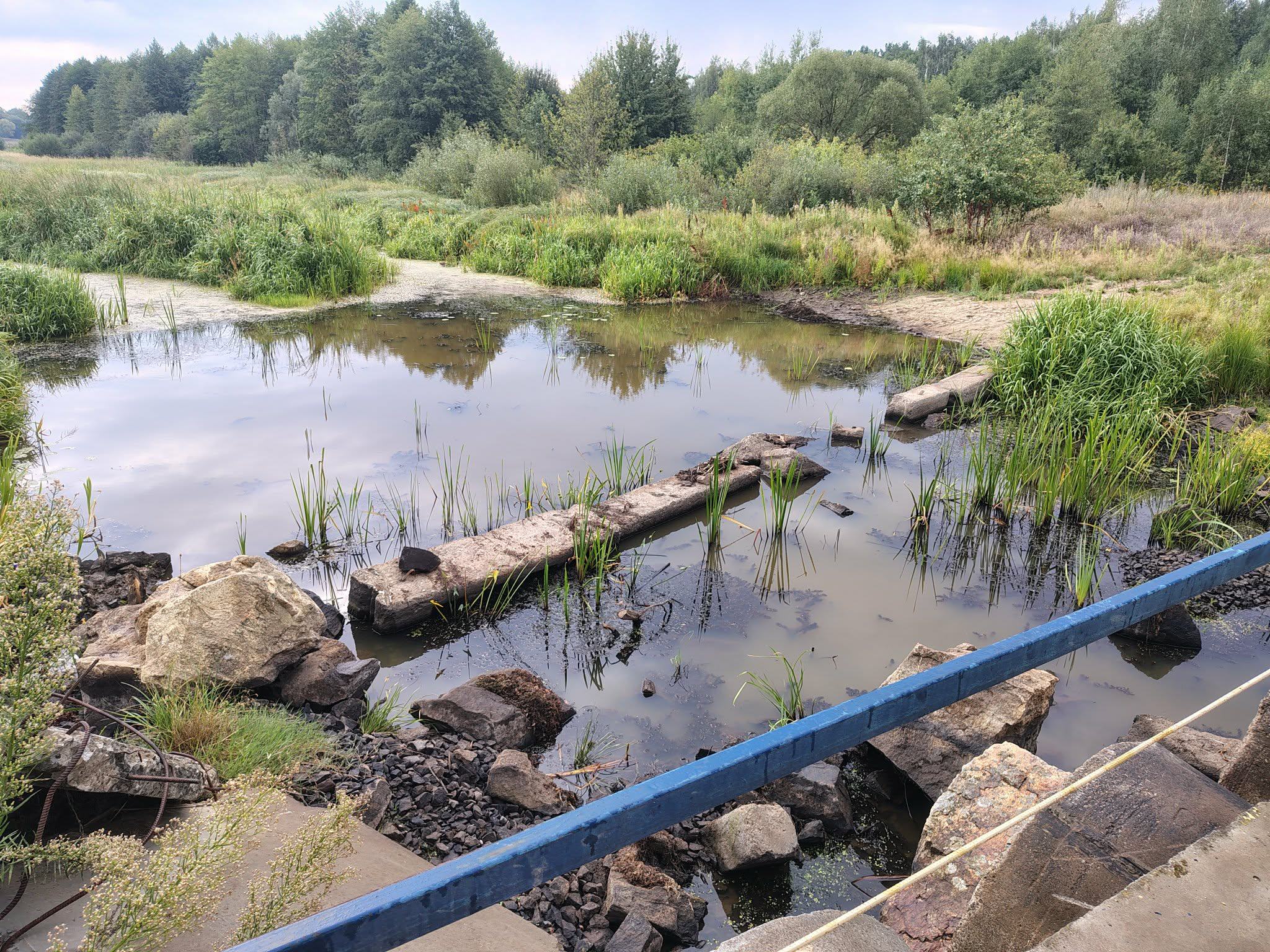 Перекрита бетонними блоками річка Тня поблизу села Несолонь на заході Житомирщини. Фото автора