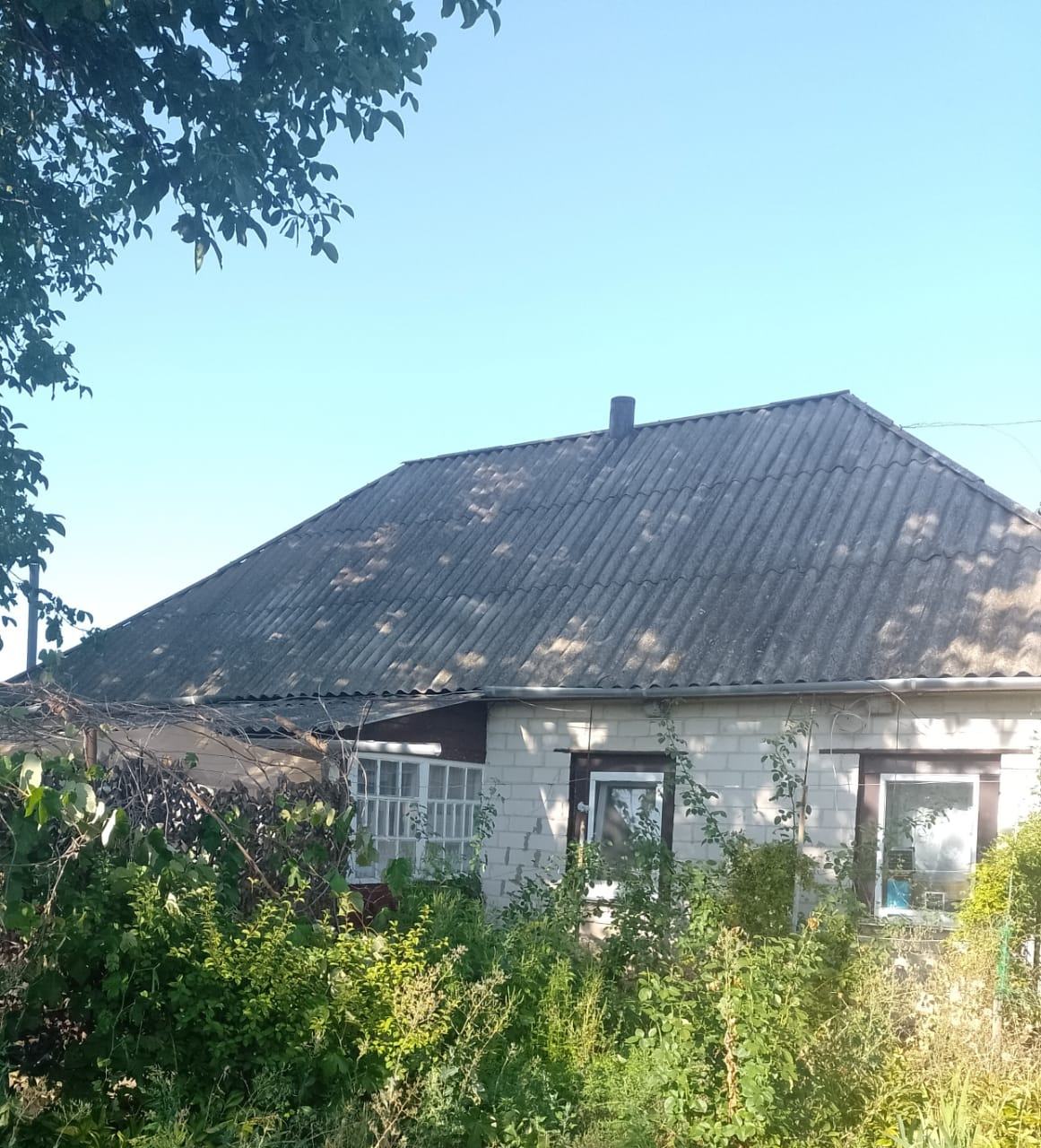 Хата Ірини Сидоренко у селі Куцівка Черкаської області