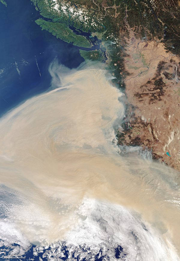 Супутникове фото дня: вся серйозність пожеж у США помітна з космосу