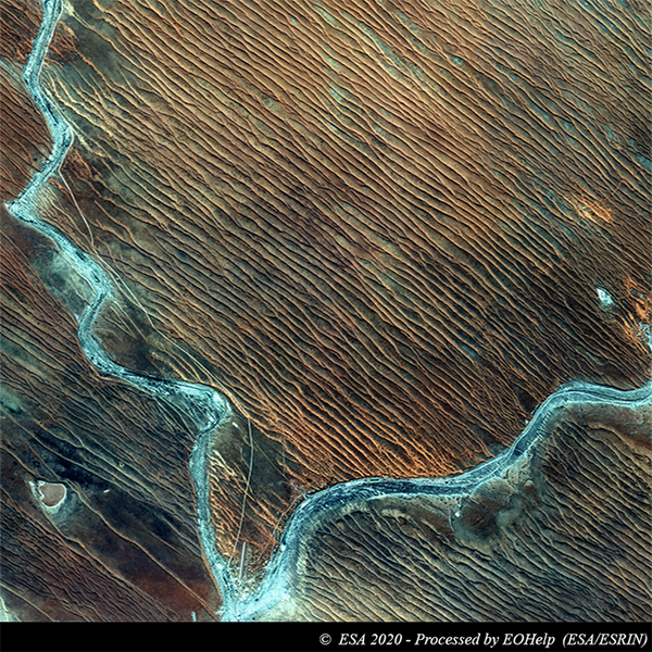 Супутникове фото дня: дюни Калахарі