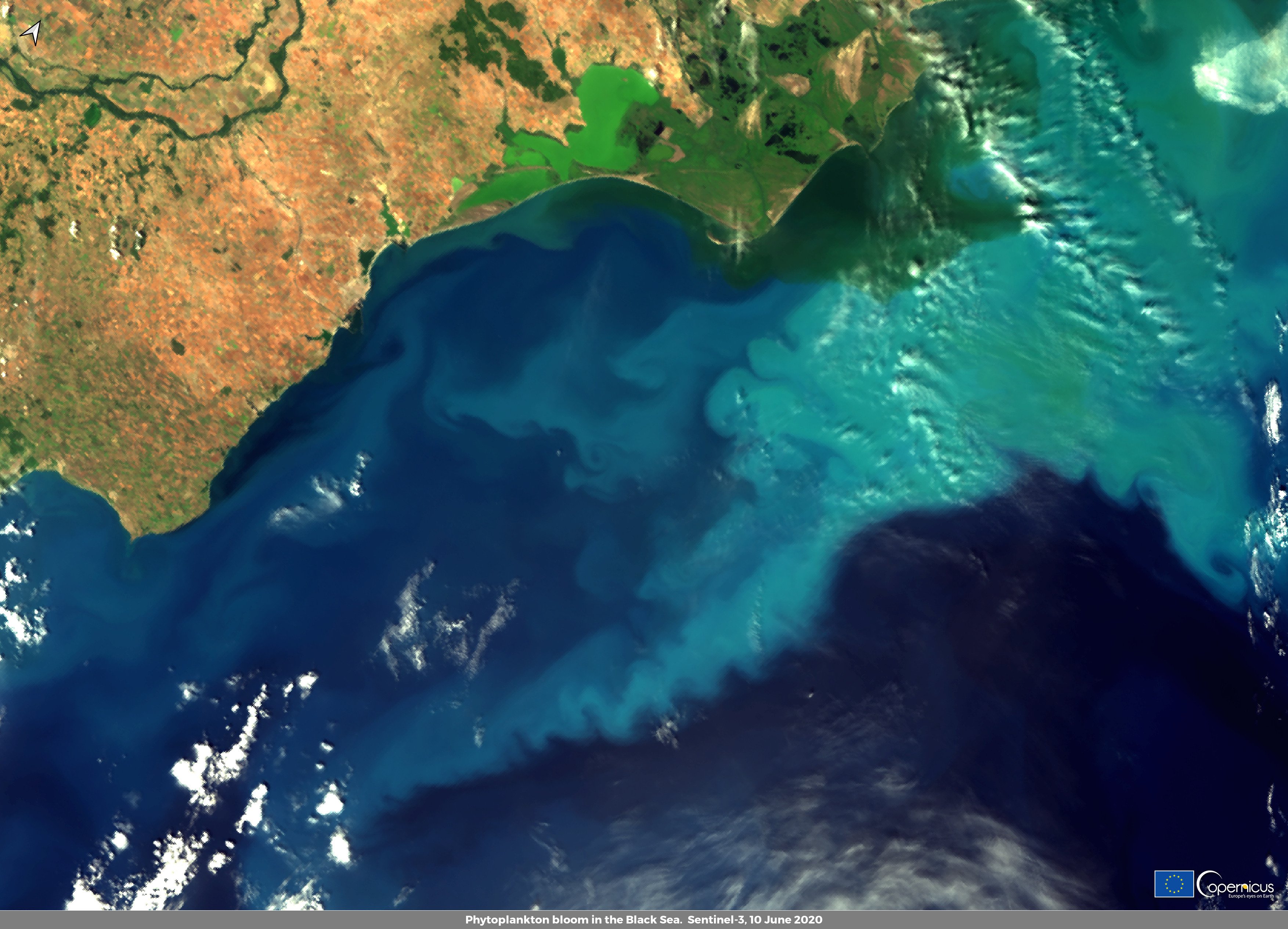 Цвітіння в Чорному морі поблизу гирла Дунаю: фото з супутника Sentinel3, Європейське космічне агентство