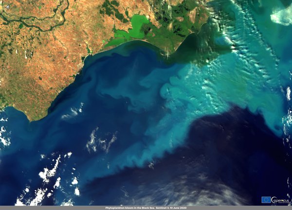 Супутникове фото дня. Грає море зелене – через фітопланктон на кордоні України й Румунії