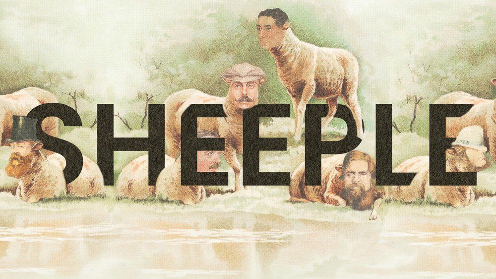 Sheeple – від sheep, "вівці, та people, "люди": легковірний керований народ. На відміну від конспірологів, які розуміють глибини підступу масонсько-марсіанської змови