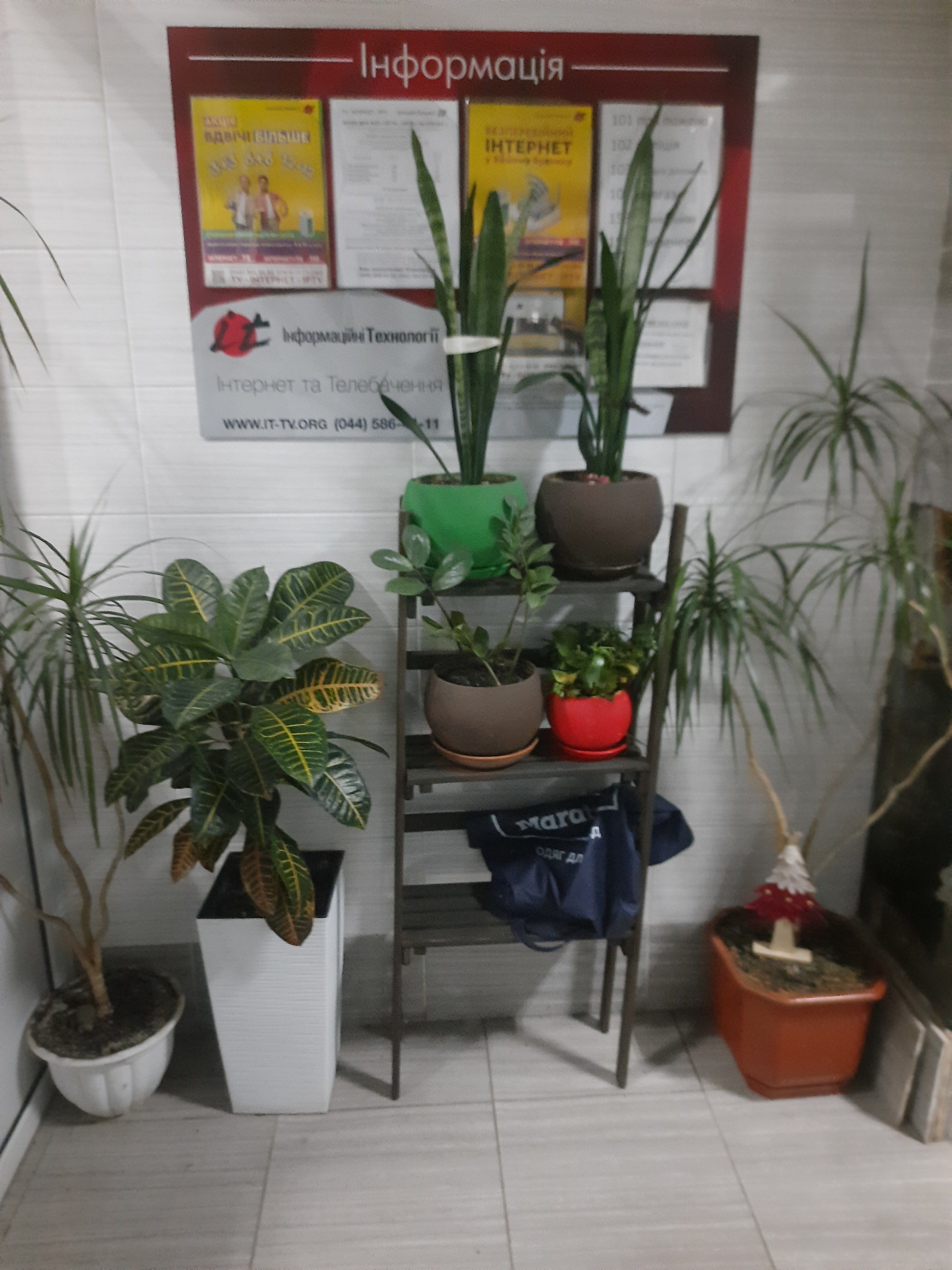 Фоє будинку на вулиці Аболмасова. Тут тепло навіть під час блекаутів