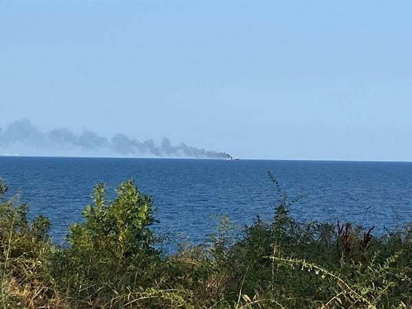 Перша зернова (війна). Економіко-географ розповів, що відбувається на Чорному морі