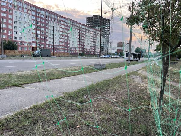 Within FPV's reach. How Zaporizhia is getting used to living under nets