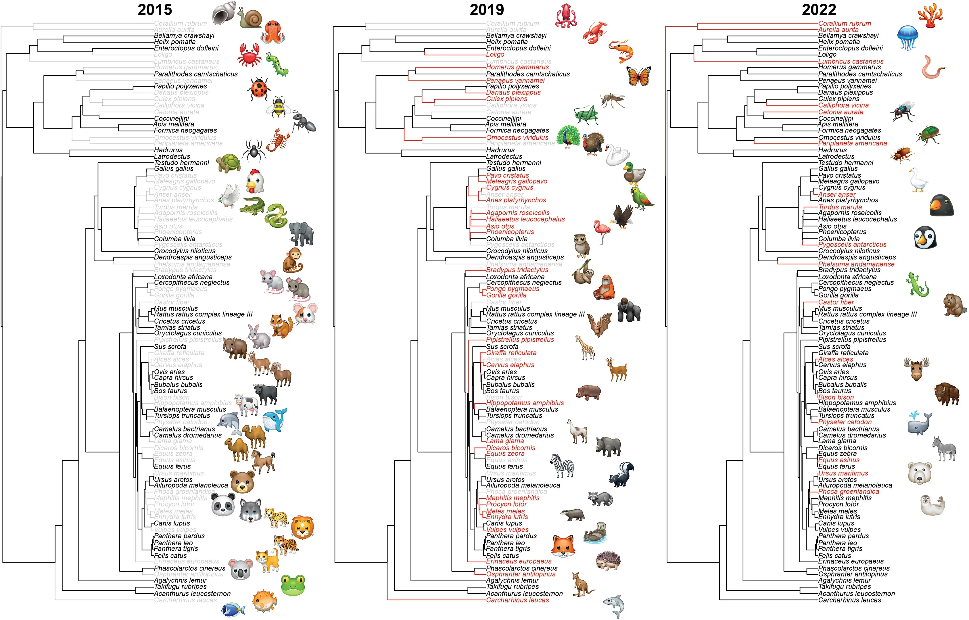 Філогенетичні дерева емодзі 2015, 2019 і 2022 років. Stefano Mammola et al. / iScience, 2023