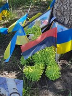 Попередній перегляд М'яка іграшка на могилі на майдані незалежності