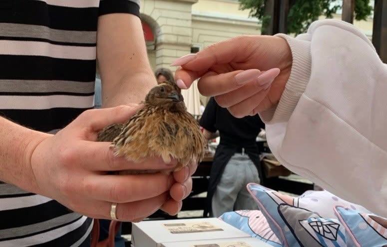 Ігор Мамчик тримає перепілку