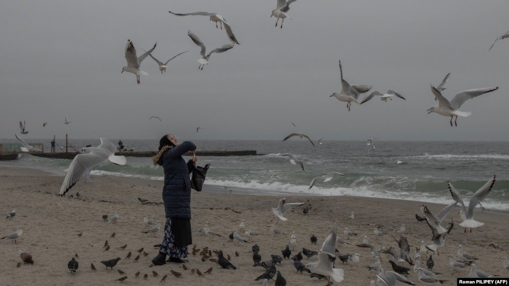 Жінка годує птахів на пляжі Одеси. Попри обстріли, одесити зберегли оптимізм