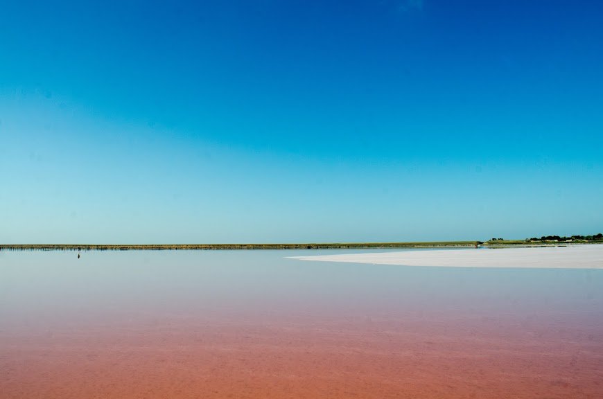 Рожеве озеро, Арабатська стрілка.jpg